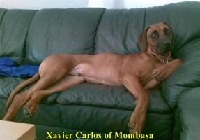 Xavier Carlos of Mombasa