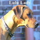 Lulu Lady