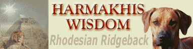 Harmakhis Wisdom